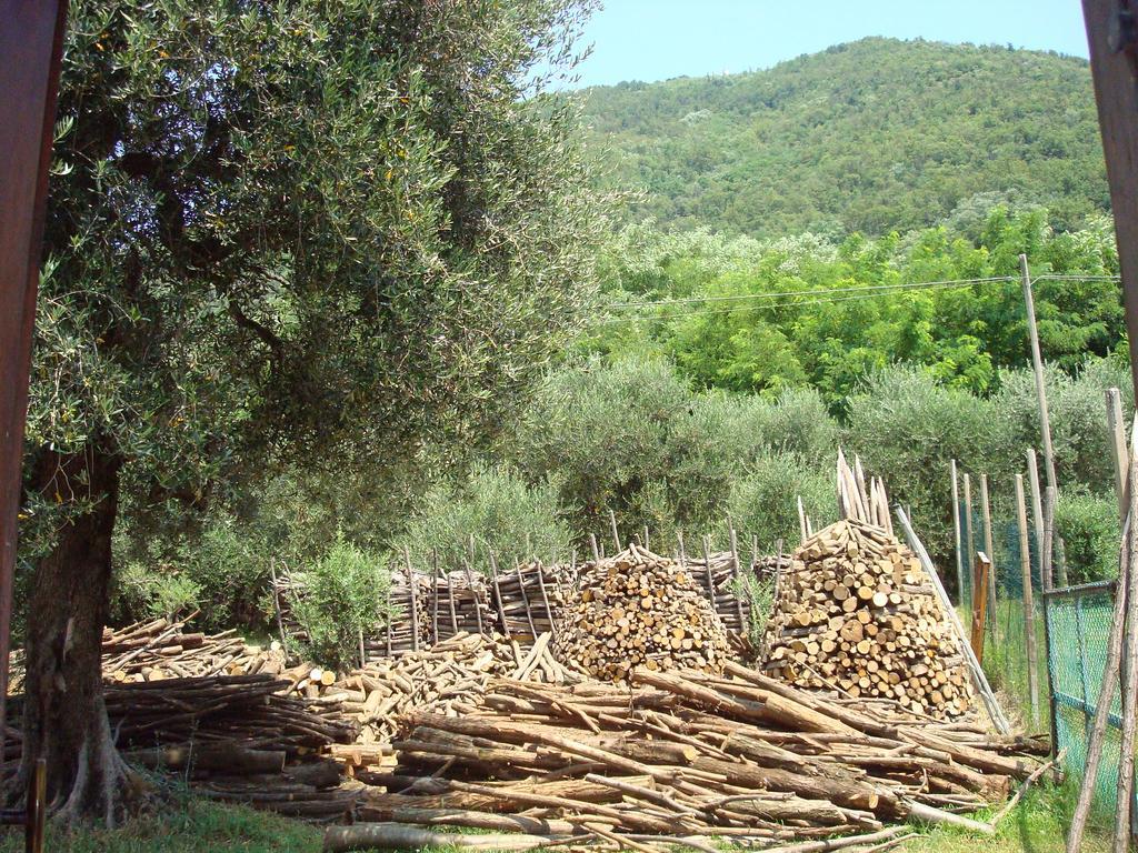 Il Castagneto Βίλα Teolo Εξωτερικό φωτογραφία