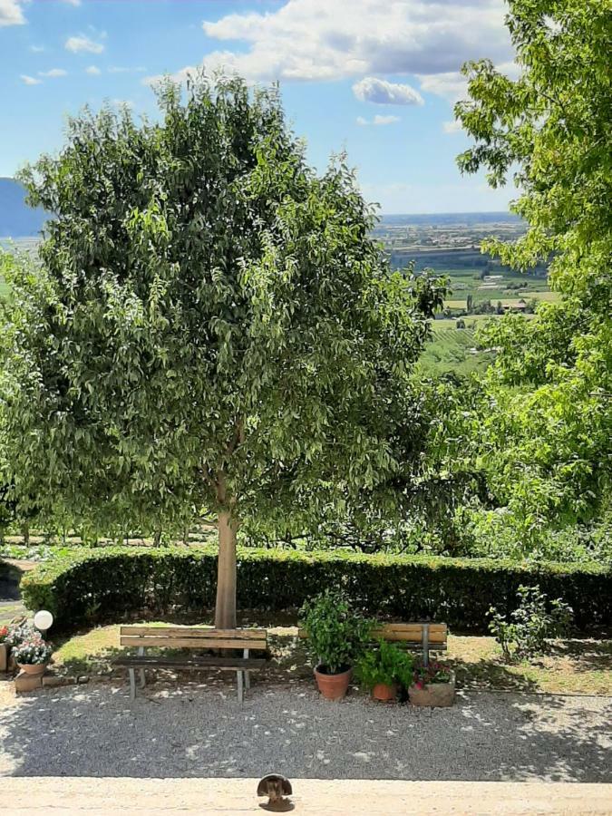 Il Castagneto Βίλα Teolo Εξωτερικό φωτογραφία